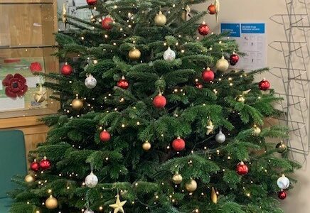 Six Acre Nurseries donate Christmas tree to the academy
