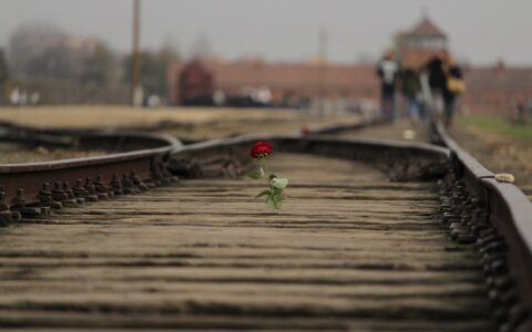 Lessons from Auschwitz article